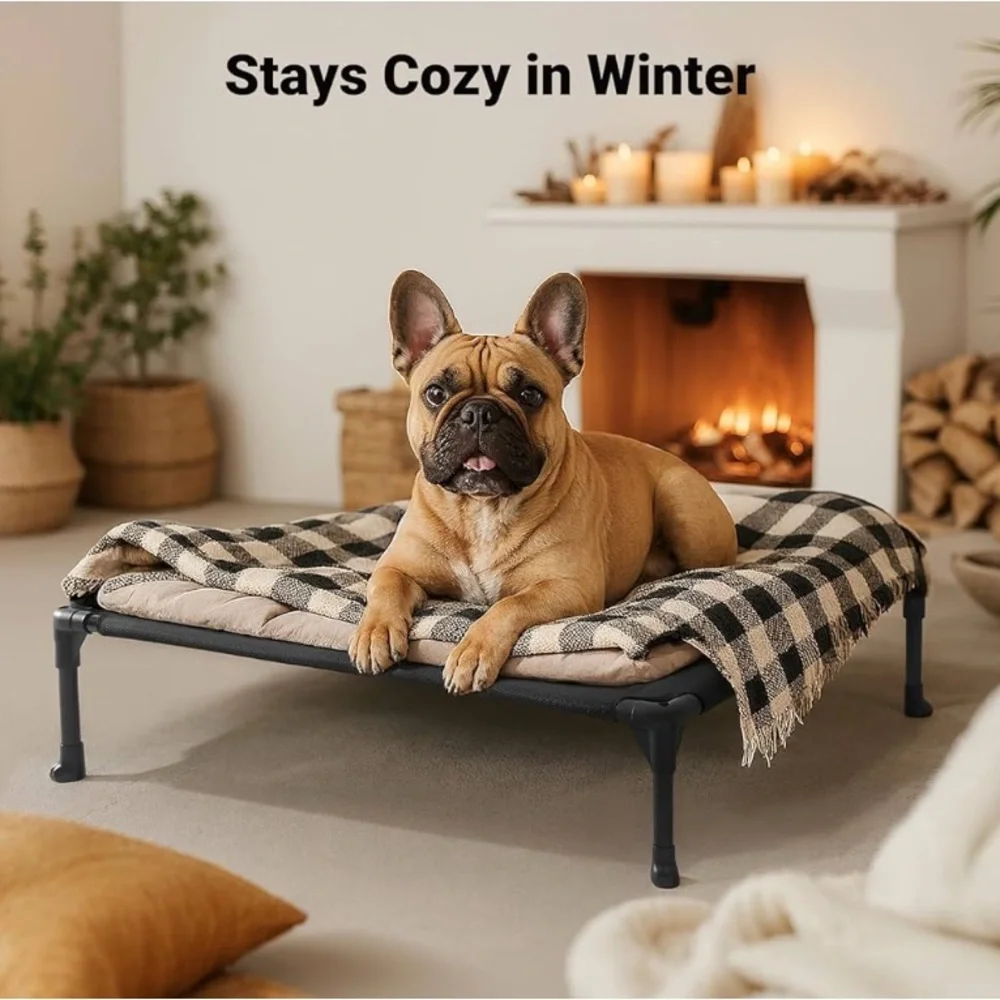 Elevated Black Dog Bed